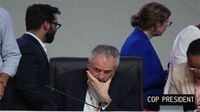 Many hoped UN climate talks in Brazil would be historic. They may be remembered as a flop