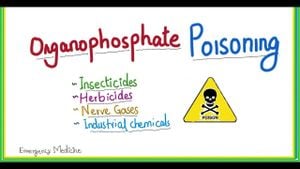 Revolutionary Method Converts Phosphates Into Key Reagents