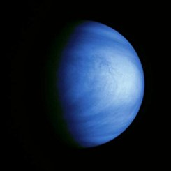 Venus: Just Passing By