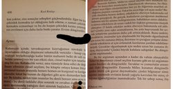 Kızıl Kraliçe isimli evrimsel biyoloji kitabındaki döngüsellikten kasıt ne?