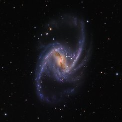 NGC 1365: Majestic Spiral with Supernova