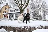 Philadelphia snow updates: Pa. issues disaster emergency; N.J. declares state of emergency; latest forecast