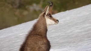 France Braces For Heavy Snow And Ice Warnings This Weekend