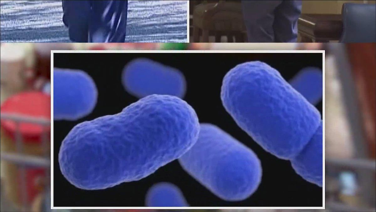 Death Toll Rises Following Listeria Outbreak Linked To Contaminated Meat The Pinnacle Gazette