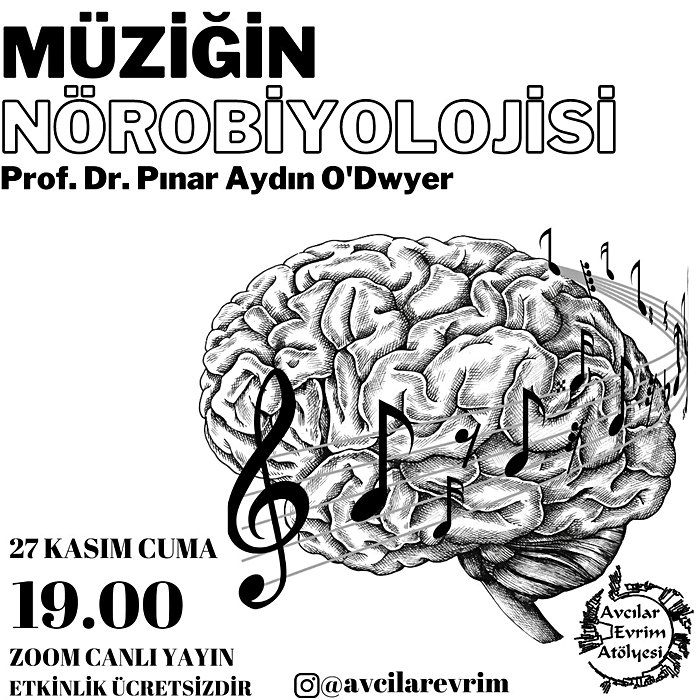 Müziğin Nörobiyolojisi - Prof. Dr. Pınar Aydın O'Dwyer (Avcılar Evrim Atölyesi)