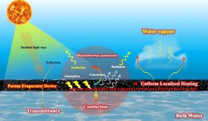 Unveiling Lignite's Hidden Power For Solar Energy Applications