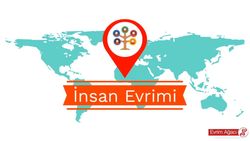 İnsan Evrimine Kısa Bir Bakış