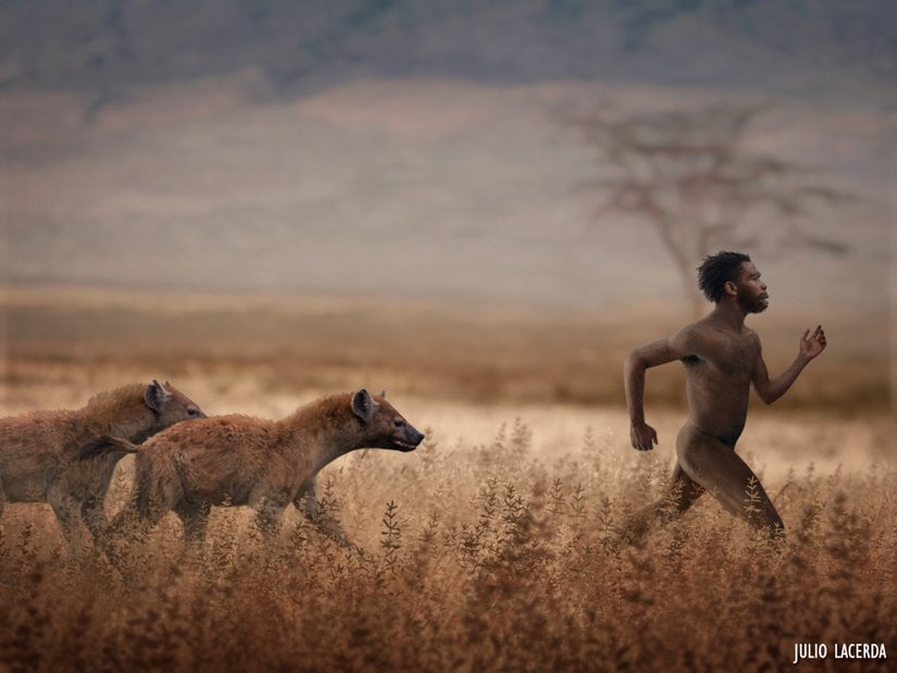 Sırtlanlardan kaçan bir arkaik Homo sapiens.