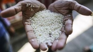 Myanmar Rice Federation Steps In To Stabilize Falling Rice Prices