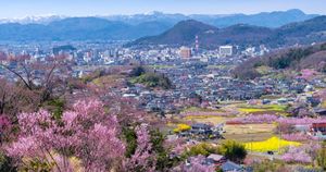 Tohoku Residents Unite For Post-Typhoon Recovery