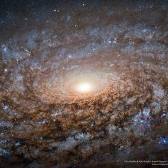  In the Center of Spiral Galaxy NGC 3521 