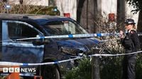 Kings College London: Woman dies after being hit by van on the Strand