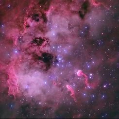  The Tadpoles of IC 410 