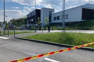Firefighter Seriously Injured During Urban Rodeo In Évian-les-Bains