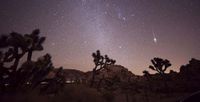 Tonight Is a Peak Lyrid Meteor Shower – And You Don't Have to Wake Up Early to See it
