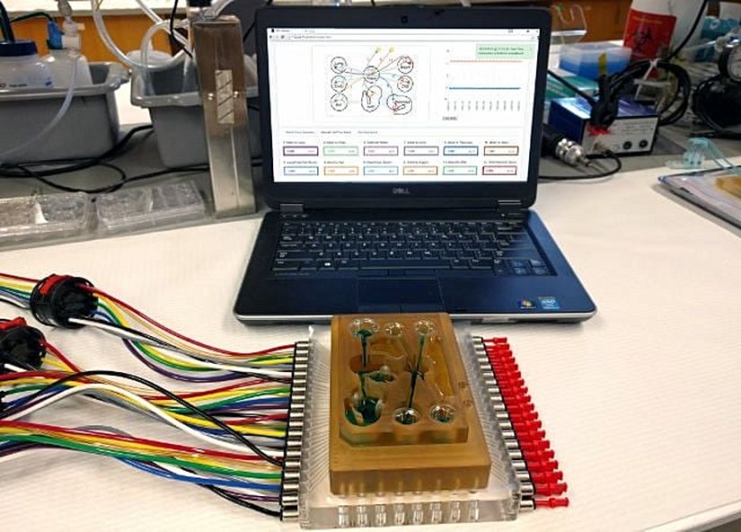 Yazılımla bileşik multiorgan platformu. Her hazne merkezî sinir sistemi, bağırsak veya akciğer gibi minyatür fizyolojik sistemleri barındırır. Kanallar boyunca akan sıvı, fizyolojik kalp debisini simüle eder. - MIT Fizyomimetik, MIT