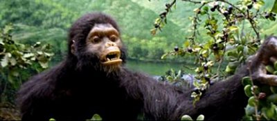 Tarih Öncesi Oreopithecus İki Ayak Üzerinde Yürüyemiyordu