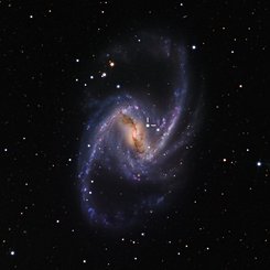 NGC 1365: Majestic Spiral with Supernova