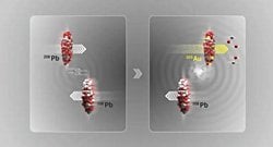 ALICE, Büyük Hadron Çarpıştırıcısı'nda kurşunun altına dönüşümünü tespit etti.