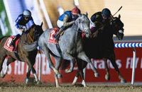 Hit Show brings the house down with Dubai World Cup rally