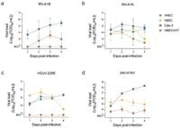 Nebulized 2-deoxylated glucose analogues inhibit respiratory viral infection in advanced in vitro airway models - Scientific Reports