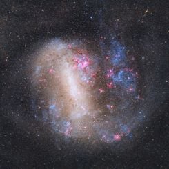 The Large Magellanic Cloud Galaxy