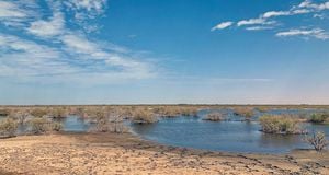 Mauritanian President Champions Climate Action At COP29