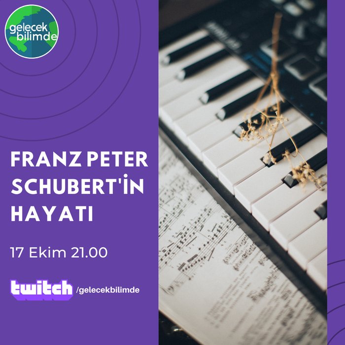 Ünlü Bestekar Franz Peter Schubert Kimdir?