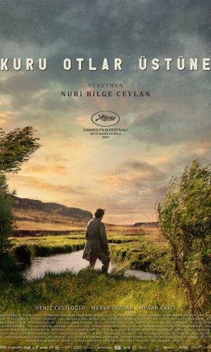 Kuru Otlar Üstüne
