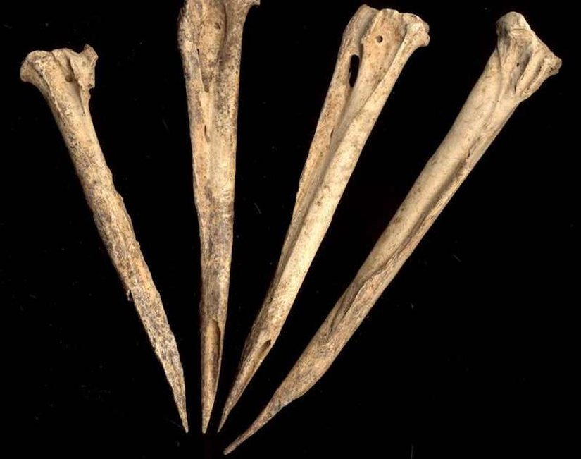 Sivrileştirilmiş kemiklerde oluşturulmuş dövme seti