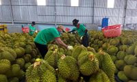 สำรวจตลาดส่งออกสินค้าเกษตรเพิ่มเติมอย่างเชิงรุก
