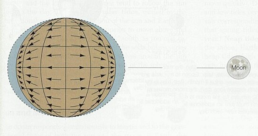 Tipik bir gelgit şeması. Ay'ın konumu ve kütleçekim etkisi nedeniyle Dünya'nın iki ucunda da gelgitin "med" evresi oluşur.