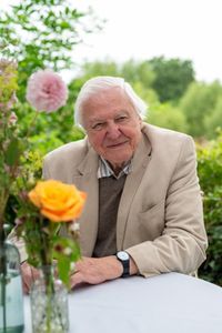 Sir David Attenborough champions landmark Rothbury Appeal to raise £30m for nature and the nation | The Wildlife Trusts