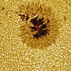 A Sunspot Up Close