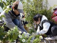 能登の空き地に花咲かそう、七尾 解体跡「利活用が決まるまで」（2025年3月22日）｜BIGLOBEニュース