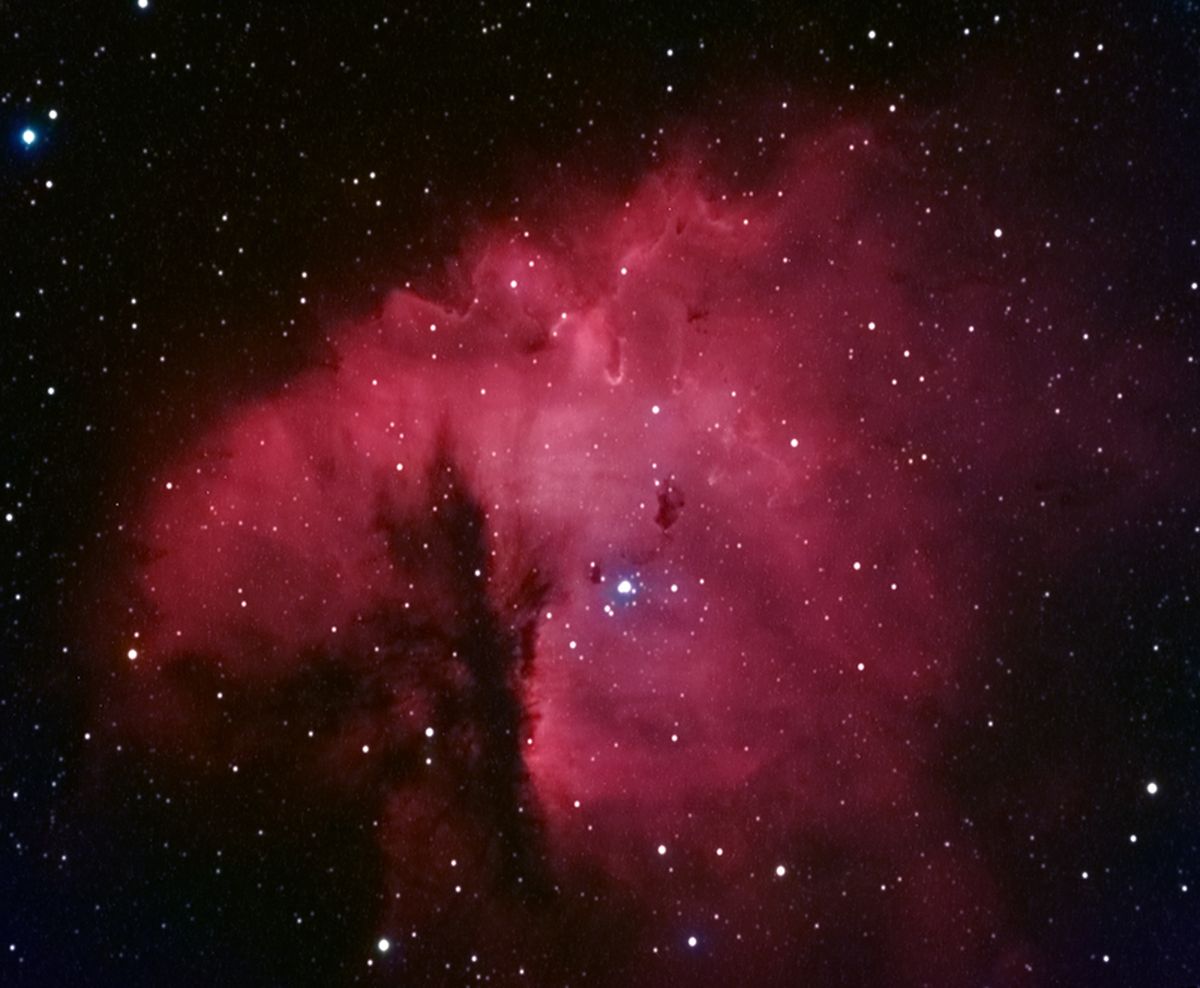 NGC 281: Cluster, Clouds, and Globules