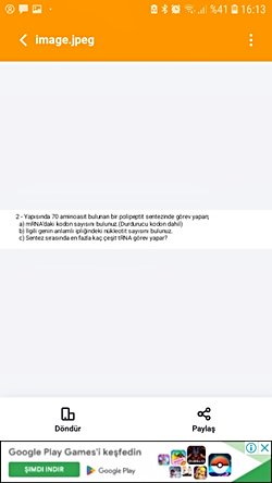 Kodon sayısı, nükleotid sayısı ve en fazla kaç çeşit trna görev yapar?