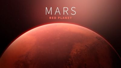 Perseverance Mars’ta Potansiyel Biyoimza Keşfetti