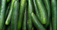 Cucumber-Linked Salmonella Outbreak Sickens Dozens Across 18 States
