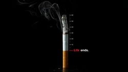 Verilen Nefesteki Karbon Monoksit Oranı, Kalp Krizi Nedeniyle Ölüm Riskini Belirlemekte Kullanılabilir!