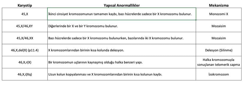 Turner Sendromu karyotipleri ve ilişkili yapısal anormalliklerin tanımı.