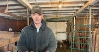 Regina farmers express concern over proposed food safety amendments surrounding sale of eggs