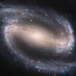 Barred Spiral Galaxy NGC 1300