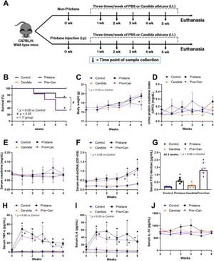 Candida Administration Worsens Lung Hemorrhage In Lupus Mice