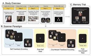 Study Examines Impact Of Positive And Negative Feedback On Behavior