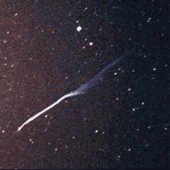 Meteor Storm Sights and Sounds