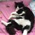 Ayşegül Civan