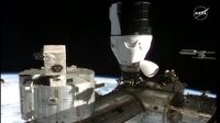 SpaceX's Crew-11 astronauts arrive at the International Space Station (video)