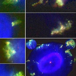 Fliers Around the Blue Snowball Nebula
Credit: