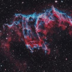 A Spectre in the Eastern Veil